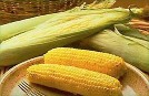  Кукуруза сахарная - особенности выращивания сортов