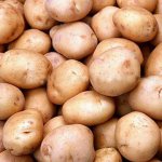 Использование картофеля в народной медицине      